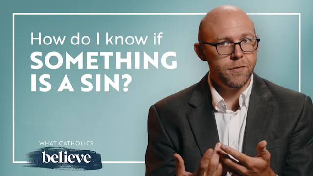 What Is Sin? A Catholic Guide to Orig...