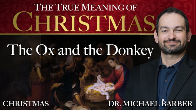 The Ox and the Donkey | The True Mean...