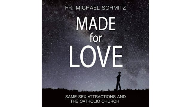 Made for Love by Fr. Mike Schmitz