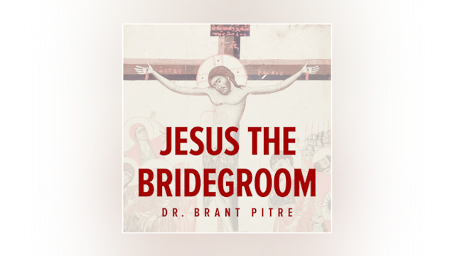 Jesus the Bridegroom: The Greatest Love Story Ever Told by Brant Pitre