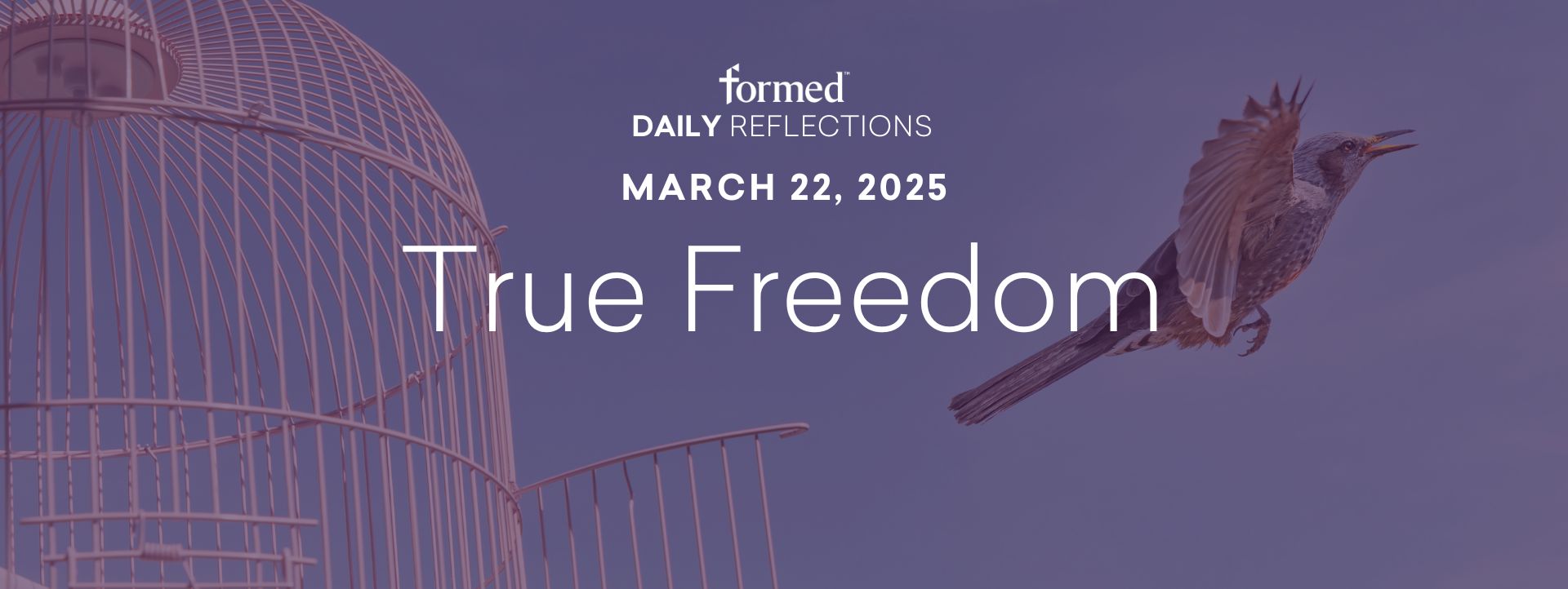 Lenten Daily Reflections — March 22, 2025