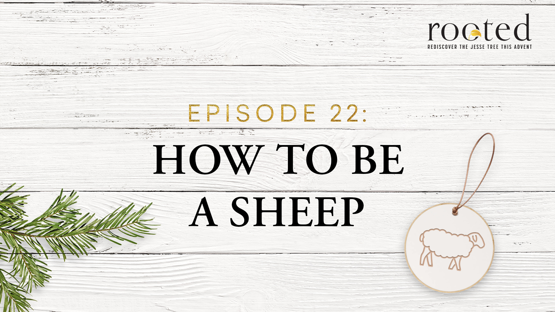 How to Be a Sheep | Rooted | Episode 22