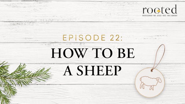 How to Be a Sheep | Rooted | Episode 22