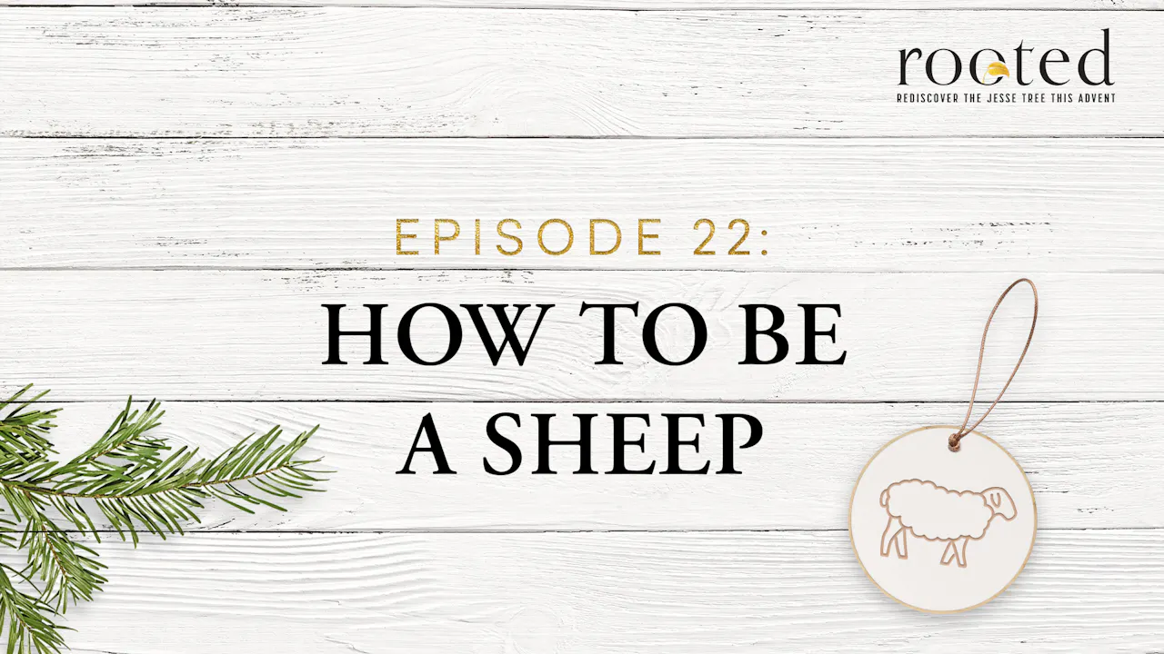 How to Be a Sheep | Rooted | Episode 22 - Season 1 - Formed