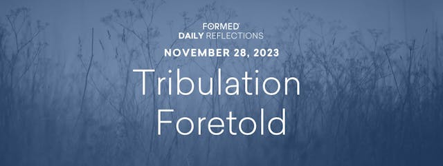 Daily Reflections — November 28, 2023