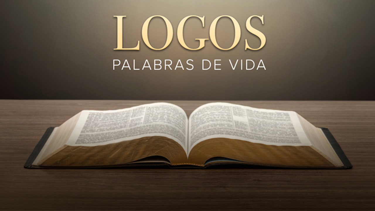 Logos palabras de vida