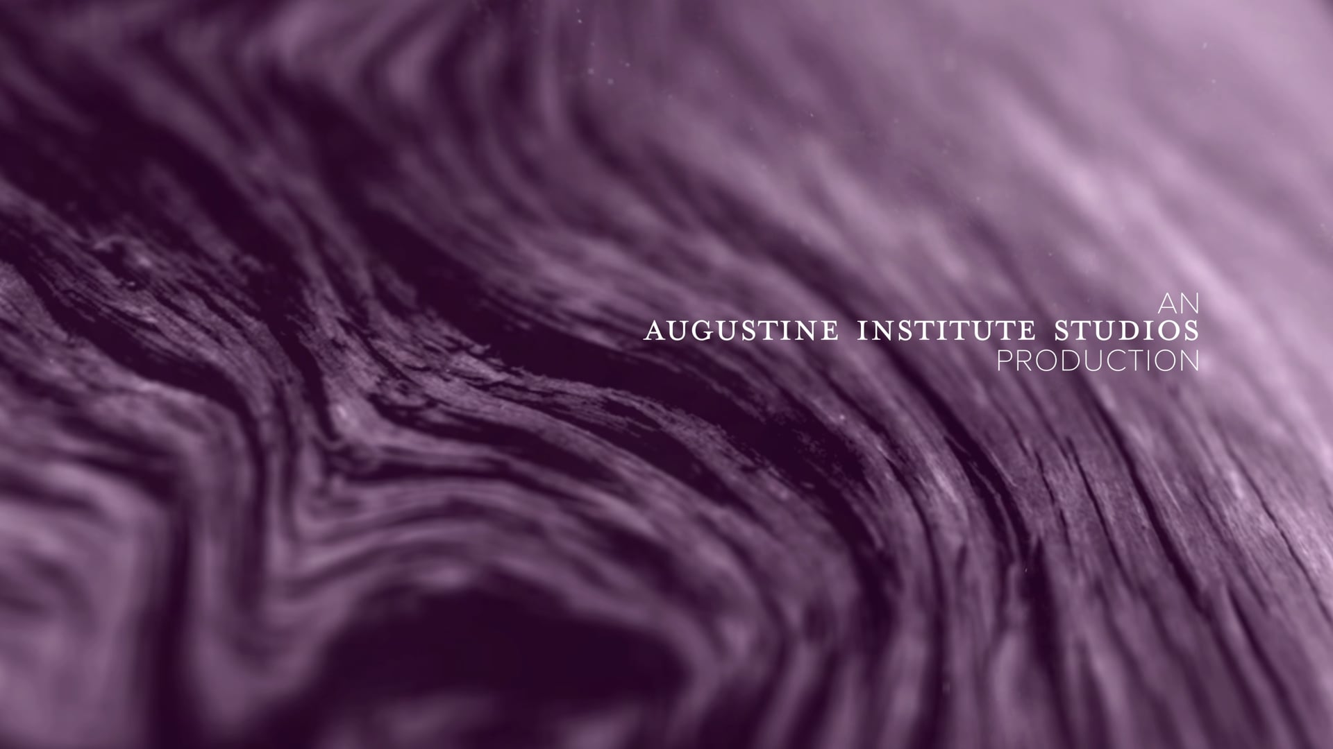 Día 31: "La verdad, los hará libres"