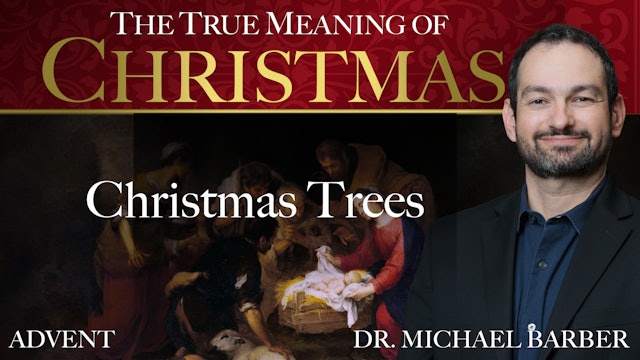 Episode 2: Christmas Trees