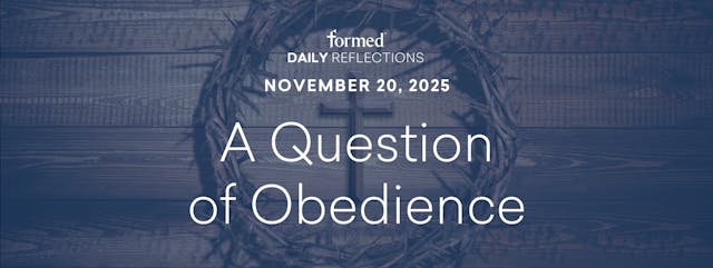 Daily Reflections — November 20, 2025