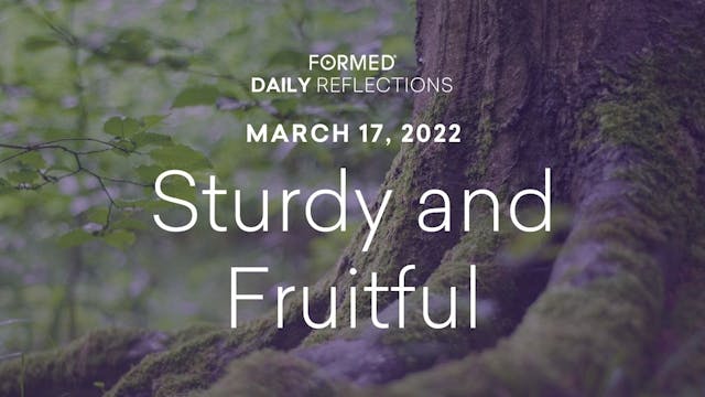 Lenten Daily Reflections – March 17, ...