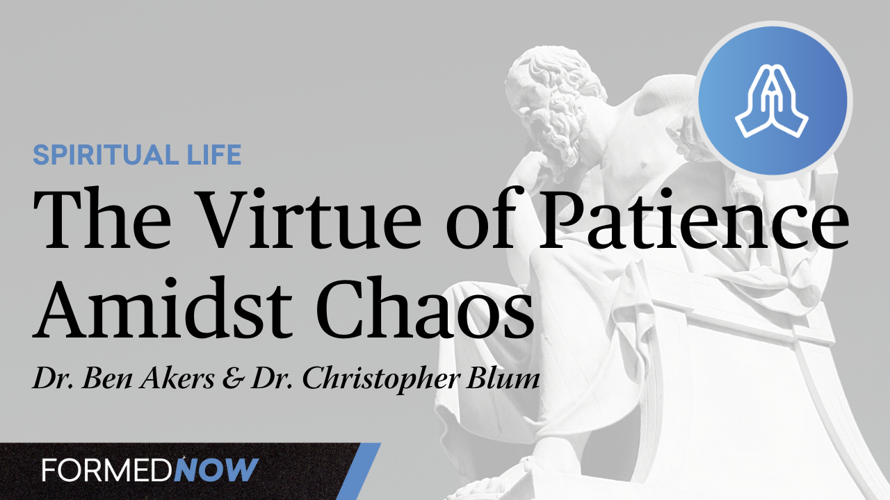 The Virtue of Patience Amidst Chaos