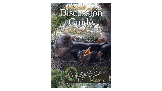 Motherhood Matters Discussion Guide