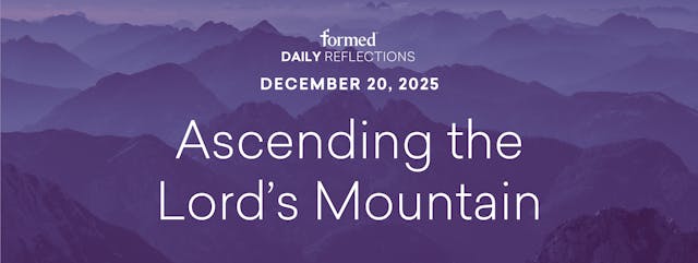 Daily Reflections — December 20, 2025