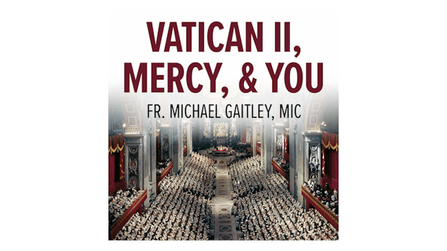 Vatican II, Mercy, & You by Fr. Michael Gaitley
