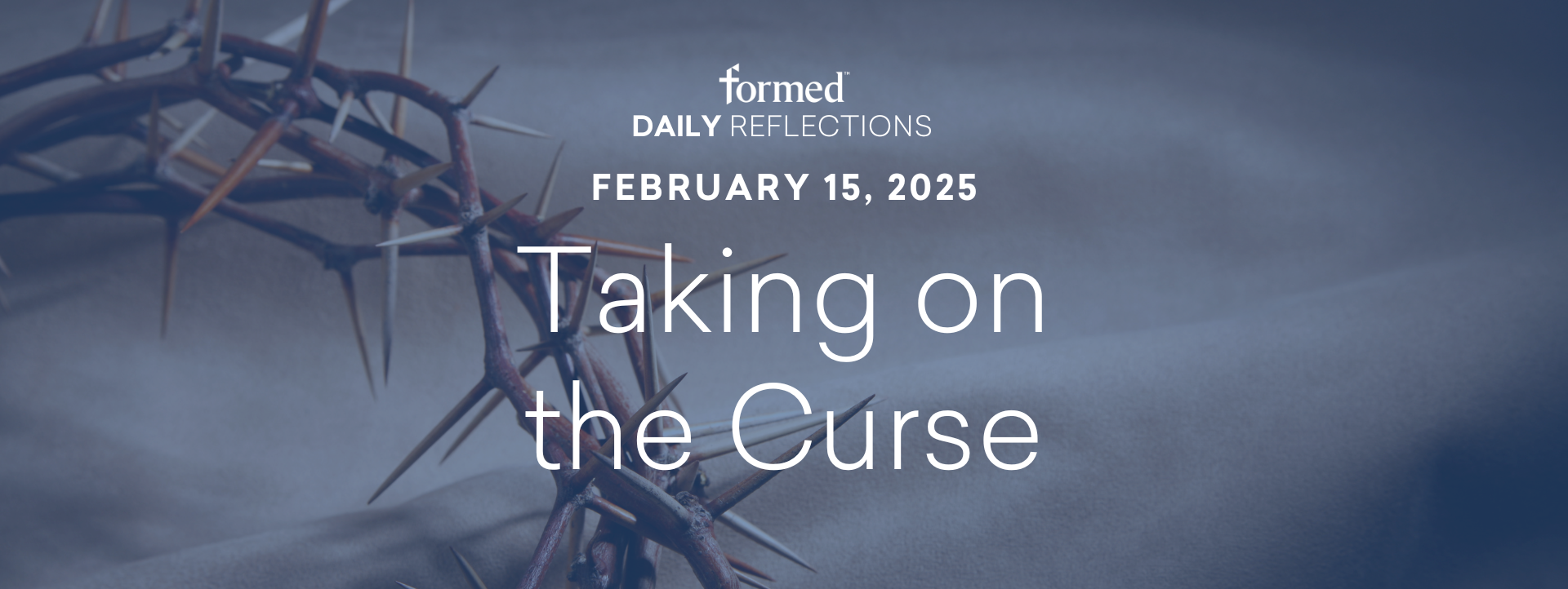Daily Reflections — February 15, 2025