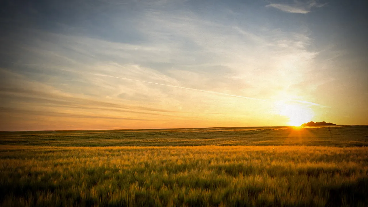 What Do Catholics Believe About the Afterlife?