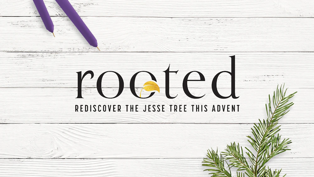 Rooted