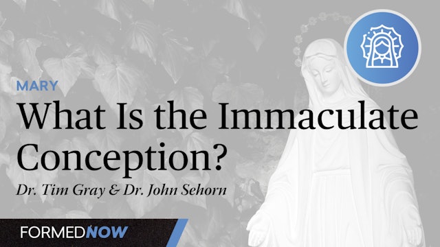 What Is the Immaculate Conception?