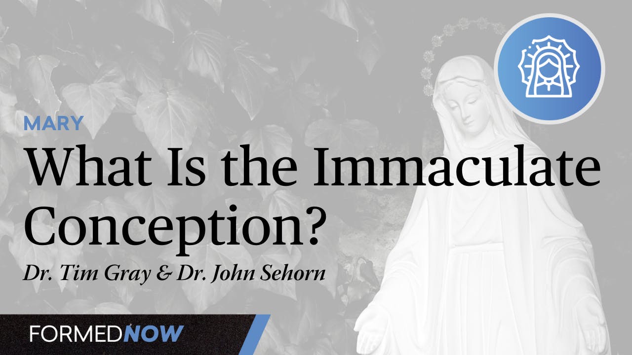 What Is the Immaculate Conception? - All Episodes - Formed