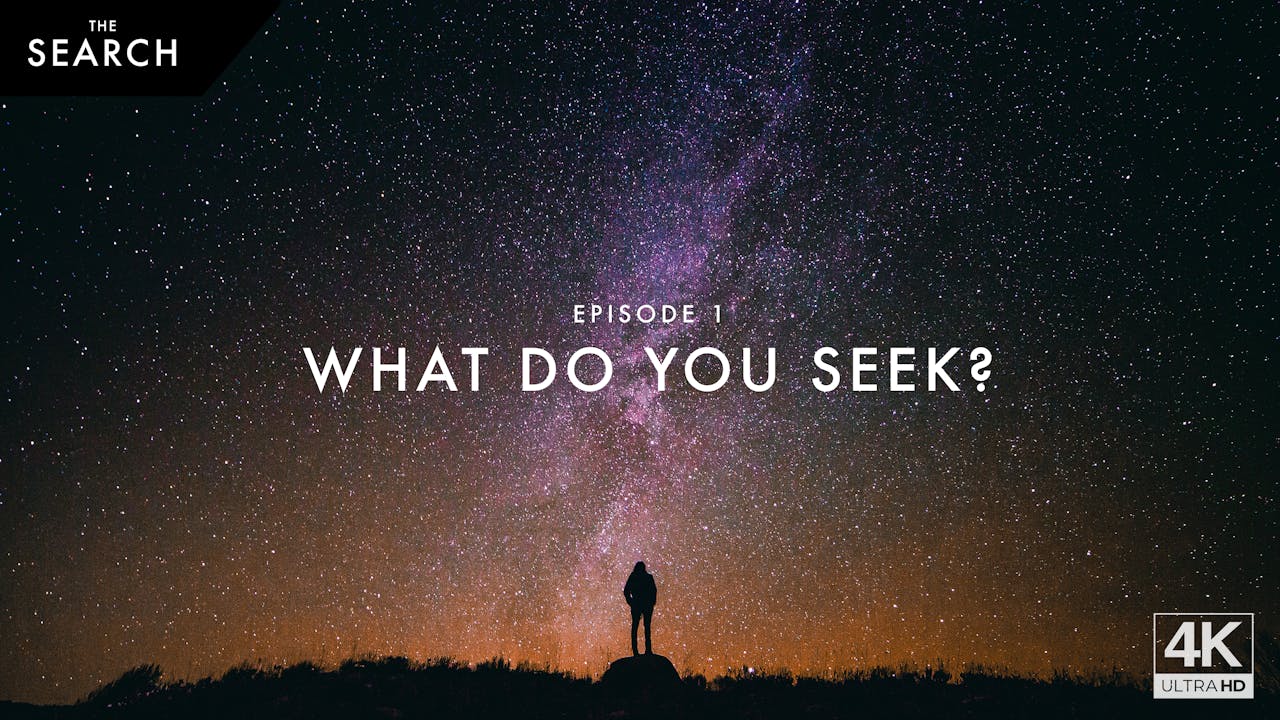 What Do You Seek? | The Search | Episode 1 - English - FORMED