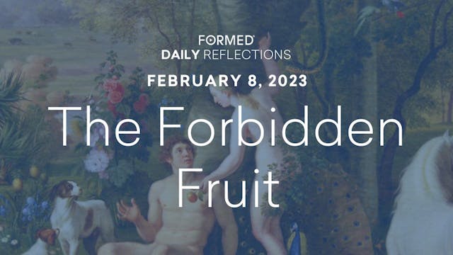 Daily Reflections – February 8, 2023