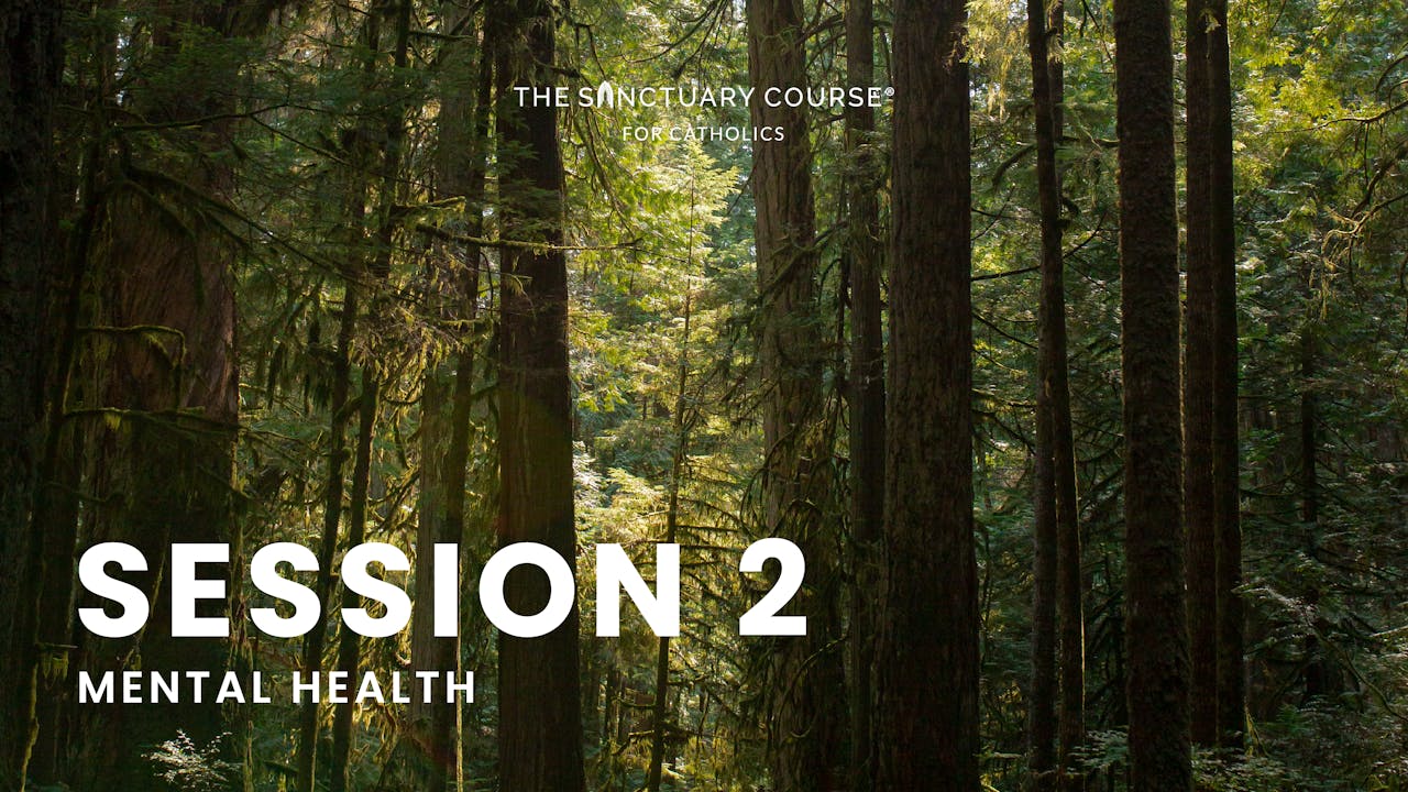 Session 2: Mental Health - The Sanctuary Course for Catholics - FORMED