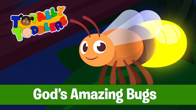 God’s Amazing Bugs | Totally Toddlers