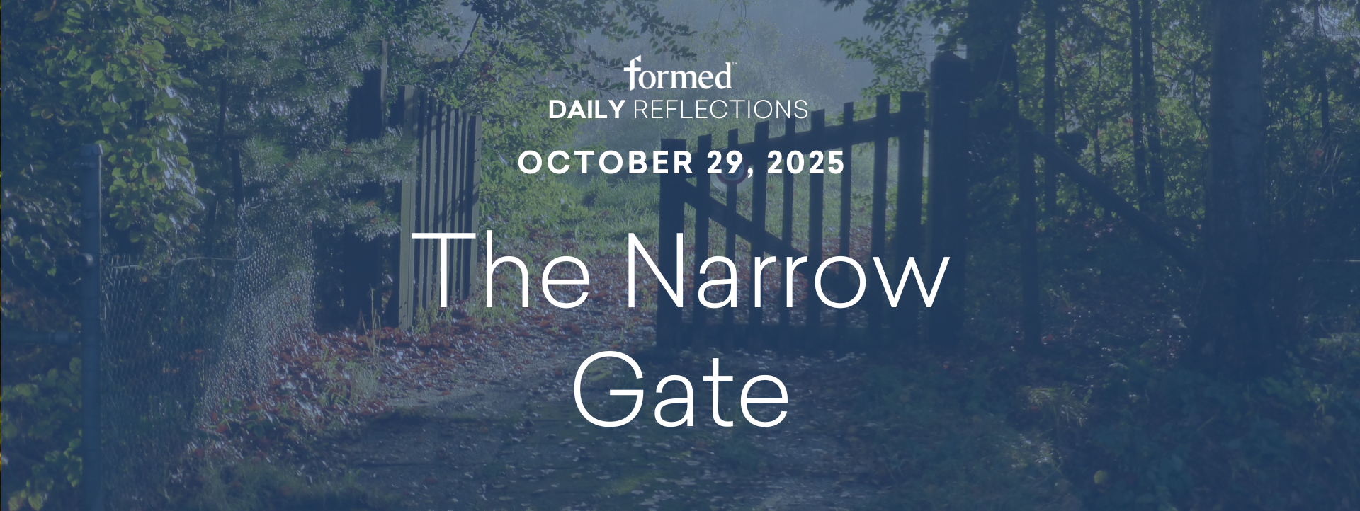 Daily Reflections — October 29, 2025