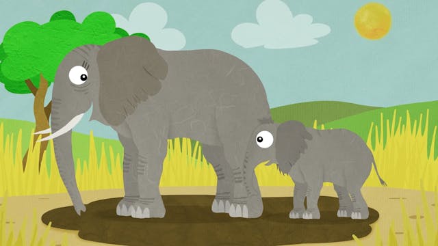 Elefante