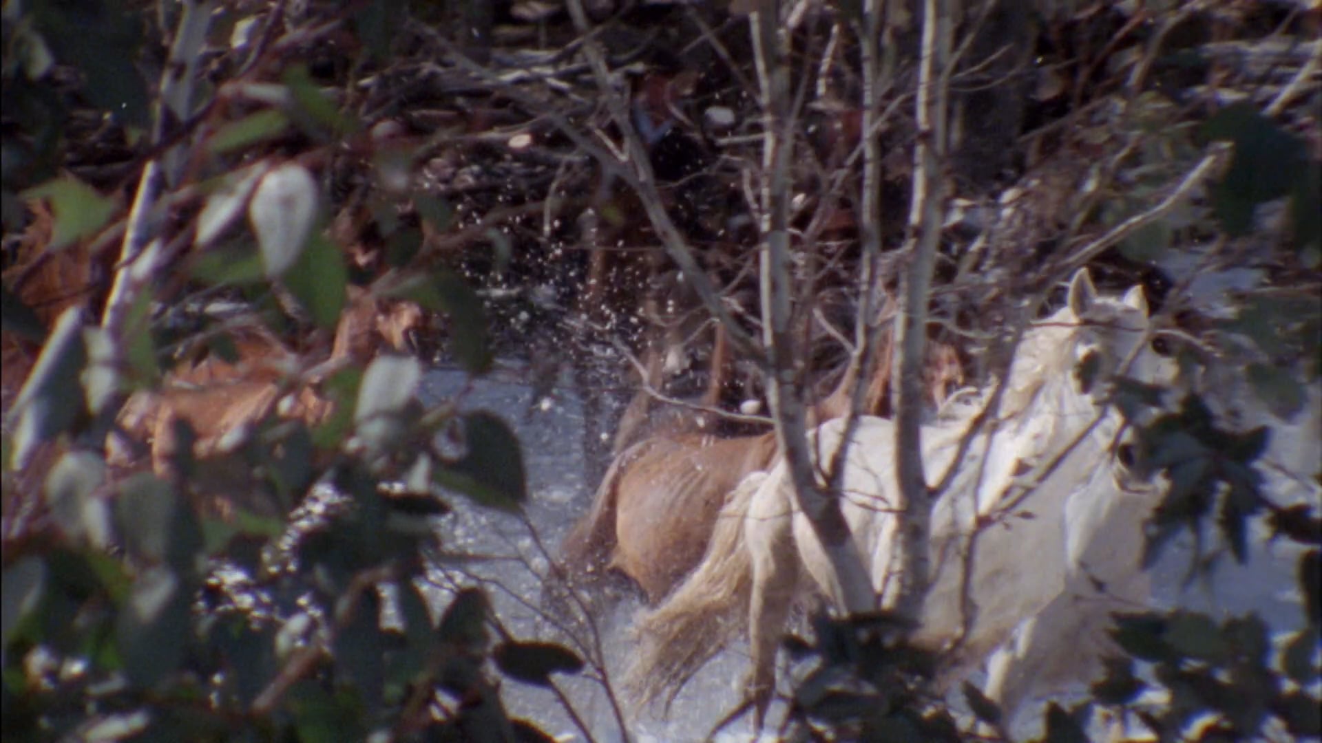 God Comes to Meet Us