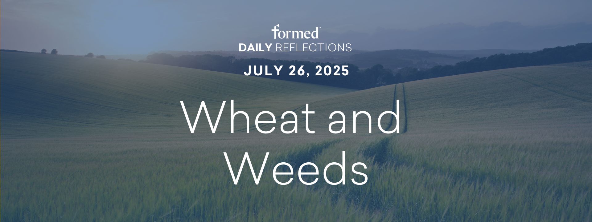 Daily Reflections — Sts. Joachim and Anne — July 26, 2025