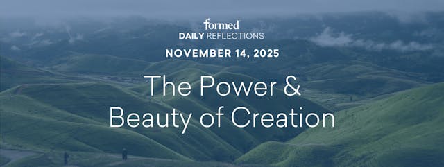 Daily Reflections — November 14, 2025