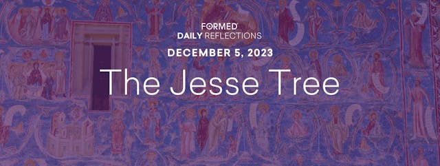 Daily Reflections — December 5, 2023