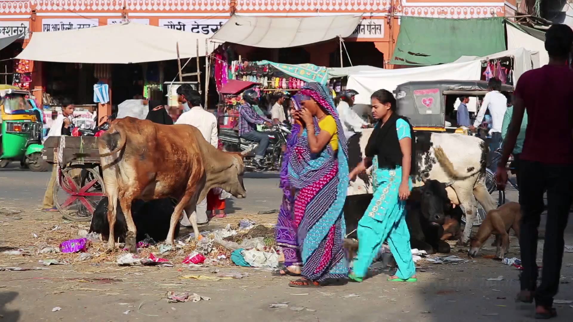 Dignity of the Human Person | Symbolon for Teens: Living the Creed | Episode 10