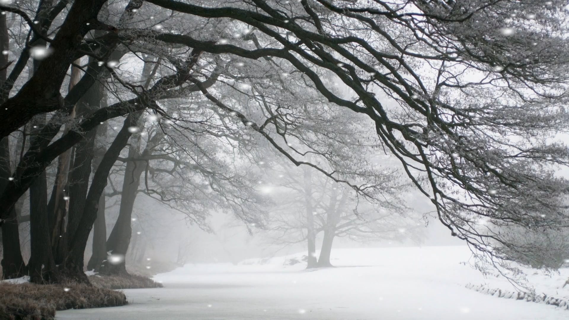 Man and Woman in the Beginning