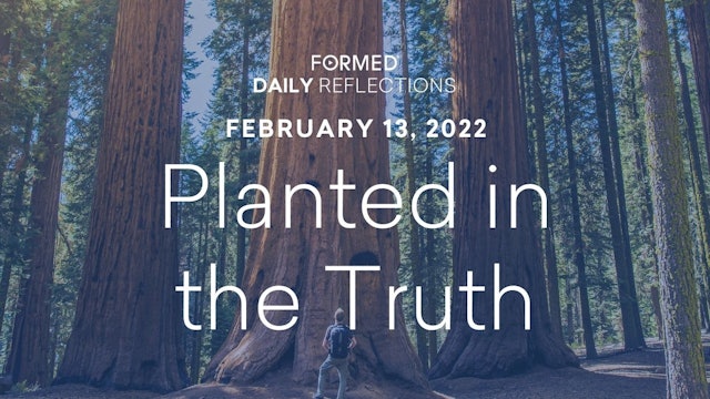 Daily Reflections – February 13, 2022