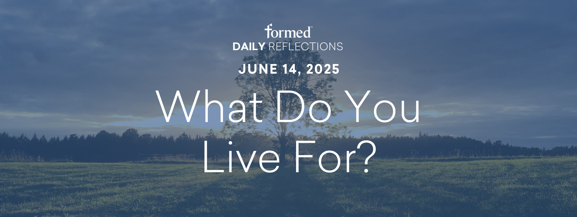 Daily Reflections — June 14, 2025