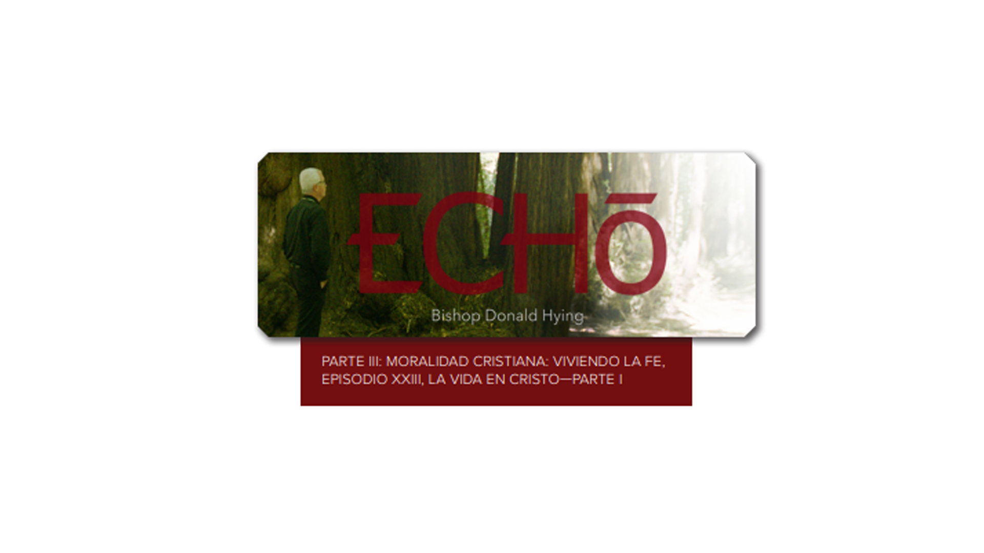ECHO - La Moralidad Cristiana, Guía de estudio