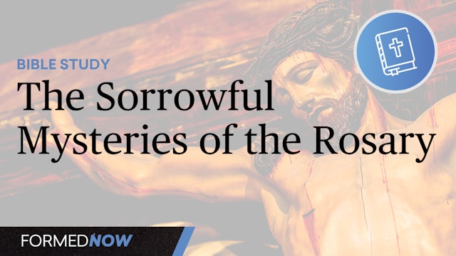 A Bible Study on the Sorrowful Mysteries of the Rosary