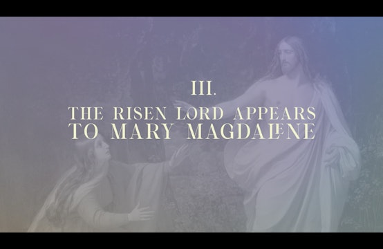 Station 3 | Via Lucis Commentary | The Risen Lord Appears to Mary Magdalene