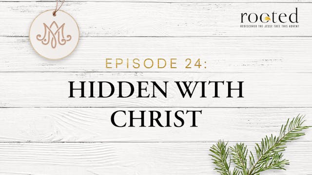 Hidden with Christ | Rooted | Episode 24