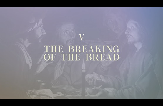 Station 5 | Via Lucis Commentary | The Breaking of the Bread