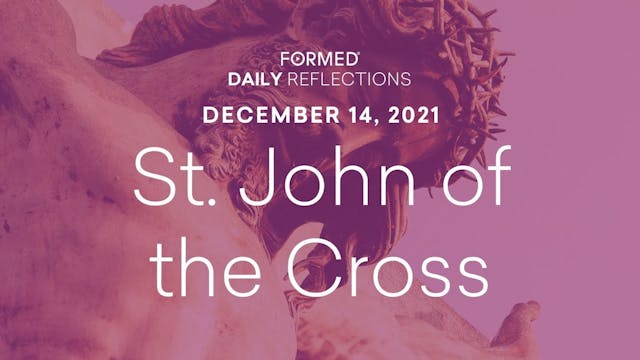 Daily Reflections – Feast of St. John...
