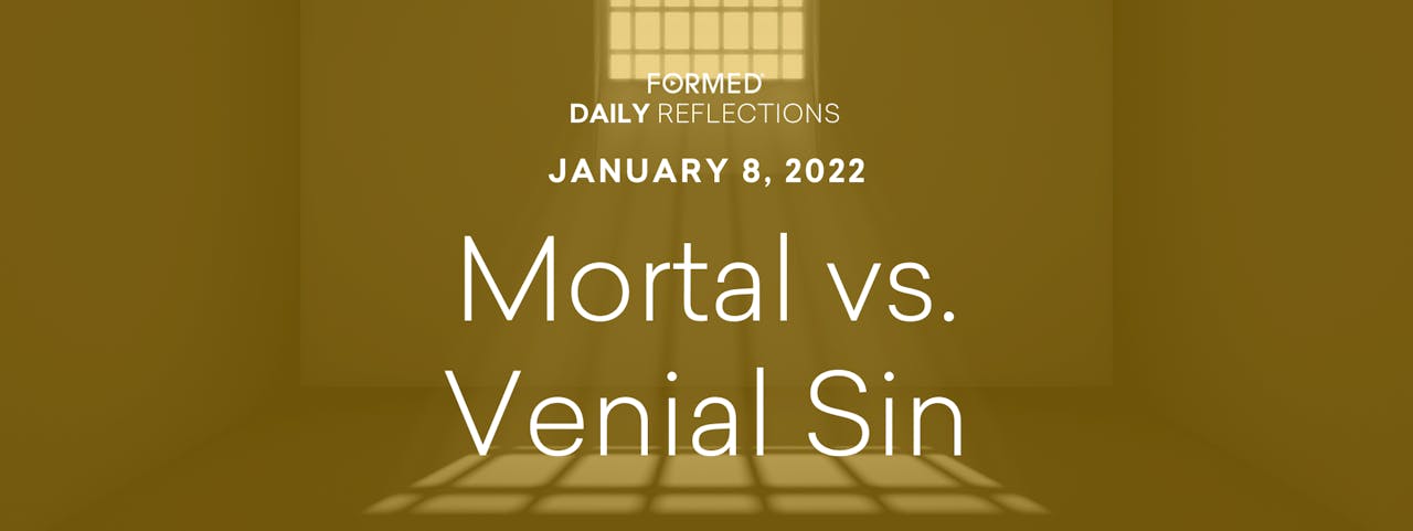 daily-reflections-january-8-2022-formed