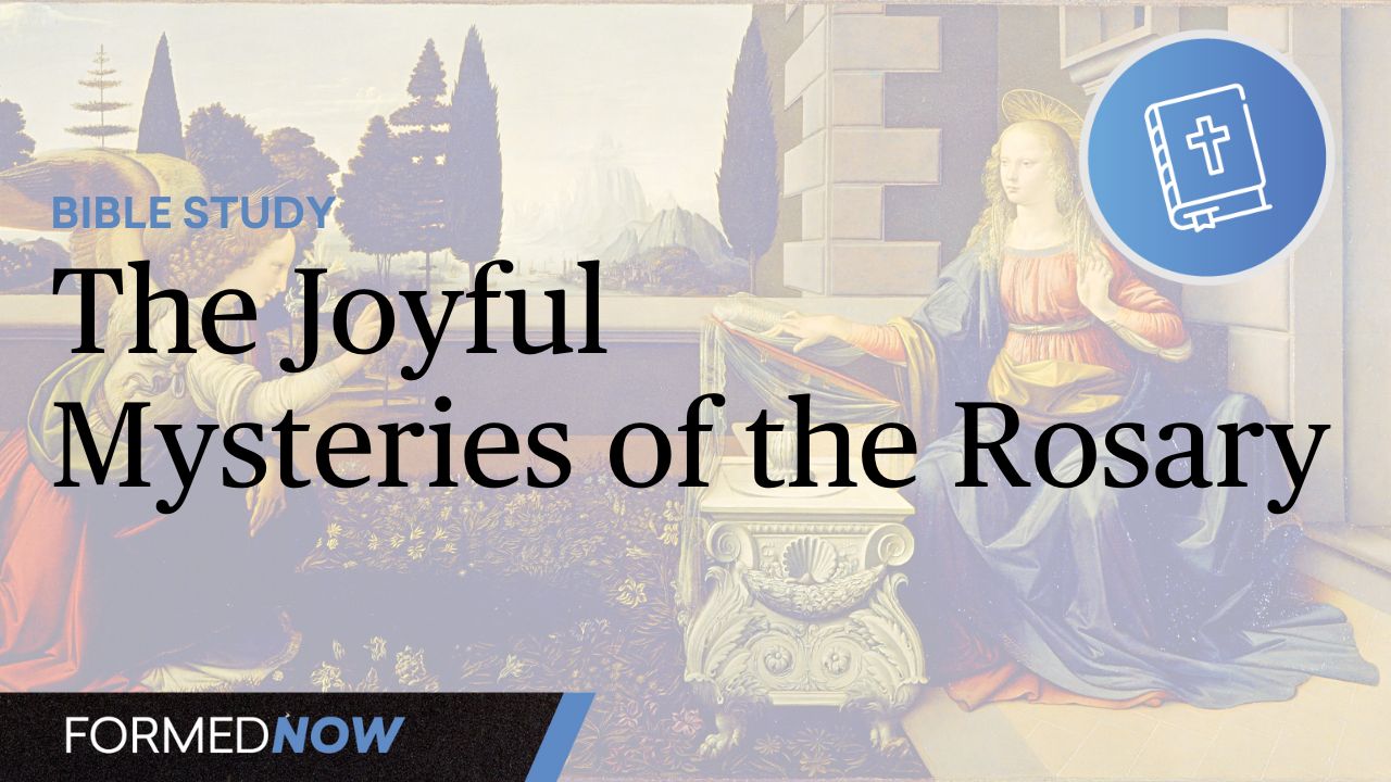 A Bible Study on the Joyful Mysteries