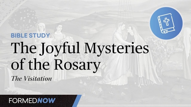 A Bible Study on the Joyful Mysteries: The Visitation