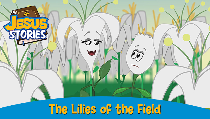 The Lilies of the Field