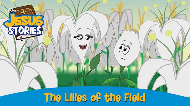 The Jesus Stories 7: The Lilies of the Field