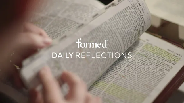Daily Reflections — August 14, 2026