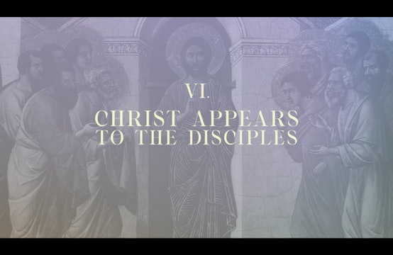 Station 6 | Via Lucis Commentary | Christ Appears to the Disciples